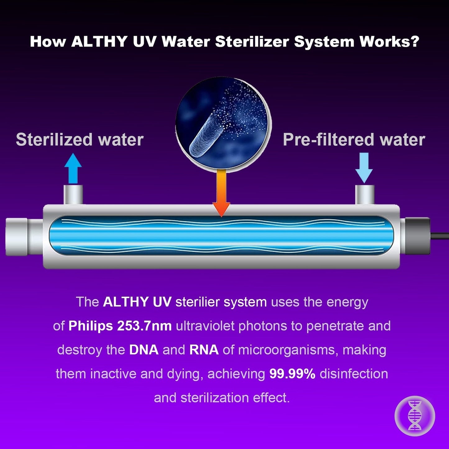 ALTHY Stainless Steel UV Water Sterilizer System Ultraviolet Tube Lamp Direct Drink Disinfection Filter Purifier / PHILIPS Lamp