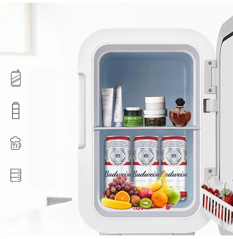 Mini Refrigerator Kitchen Portable Mirror Fridge Auto Compressor Student Dormitory Home Picnic Camping Compact Cooler